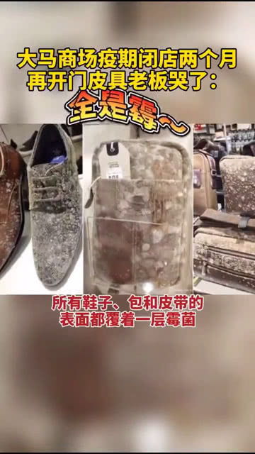 馬來西亞皮具老板都要哭了時隔兩月重新開門營業,皮革制品幾乎全部發霉