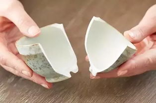食道說 出生蛋便宜也是寶,人類生活離不了